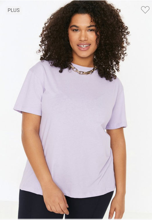 Lilac Plus Size Crew Neck Tee - 2XL